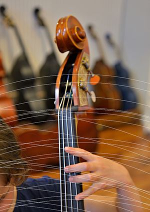 Conservatoire De Lausanne Contrebasse Ecole De Musique Instrument Enseignement
