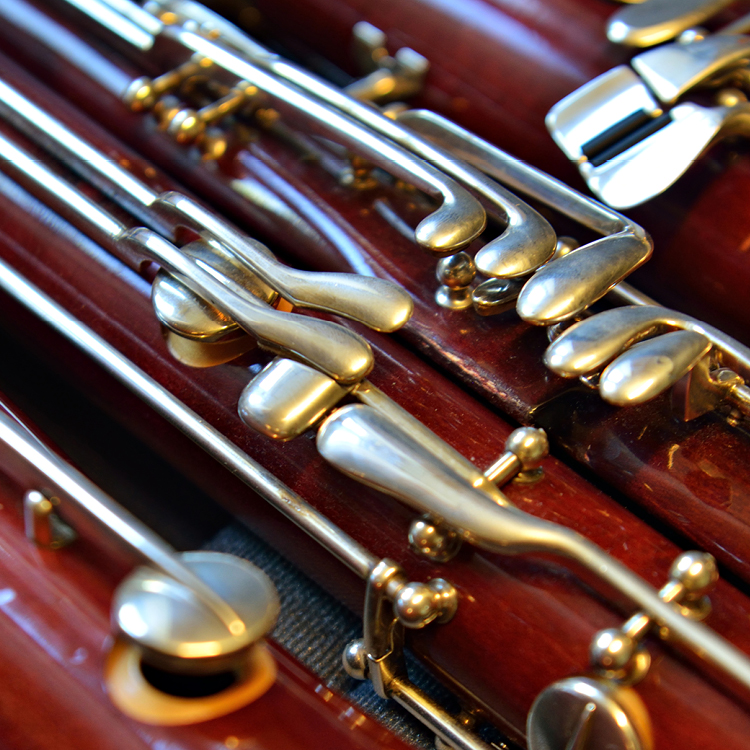 Flûte à Bec pour adultes - Conservatoire populaire de musique, danse et  théâtre Conservatoire populaire de musique, danse et théâtre